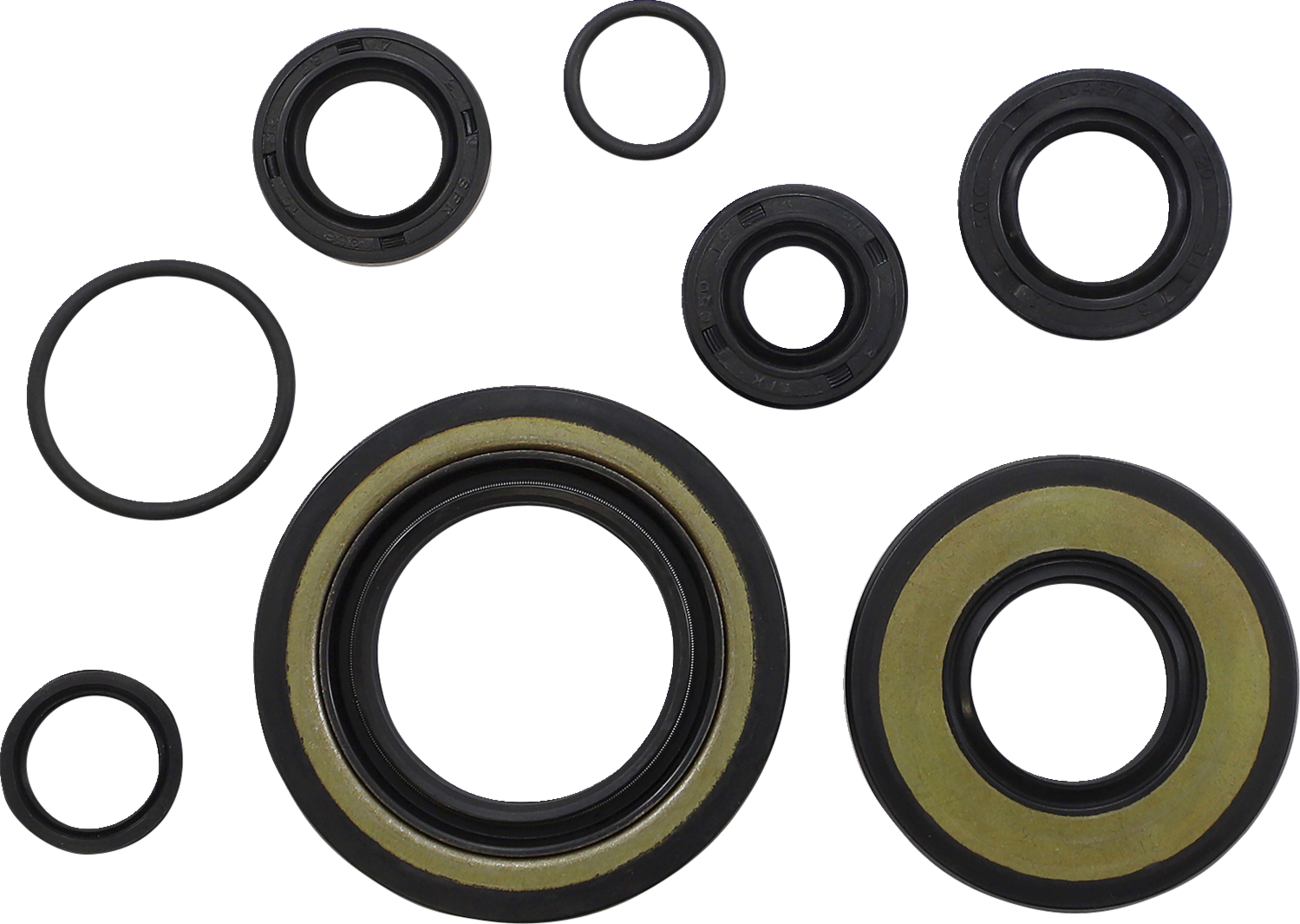 VINTCO Oil Seal Kit