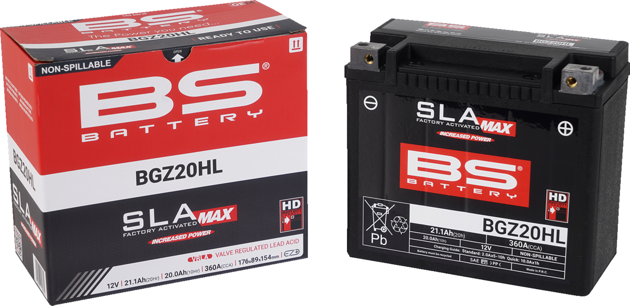 BS BATTERY SLA MAX Factory- Activated AGM Maintenance-Free Battery