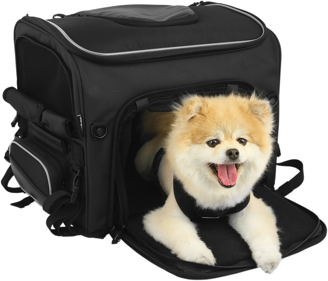 Nelson Rigg Route 1 Rover Pet Carrier
