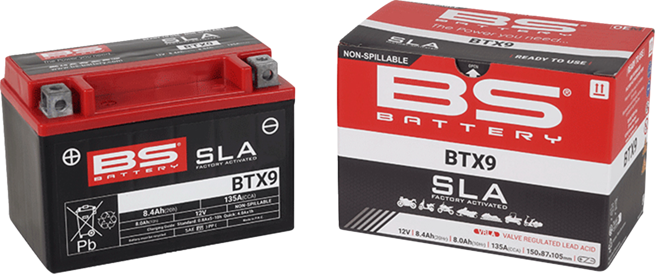 BS BATTERY SLA Factory- Activated AGM Maintenance-Free Battery