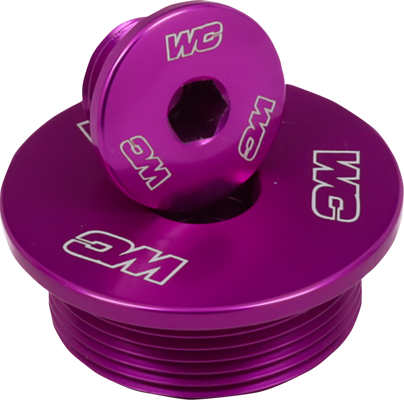 Engine Plug