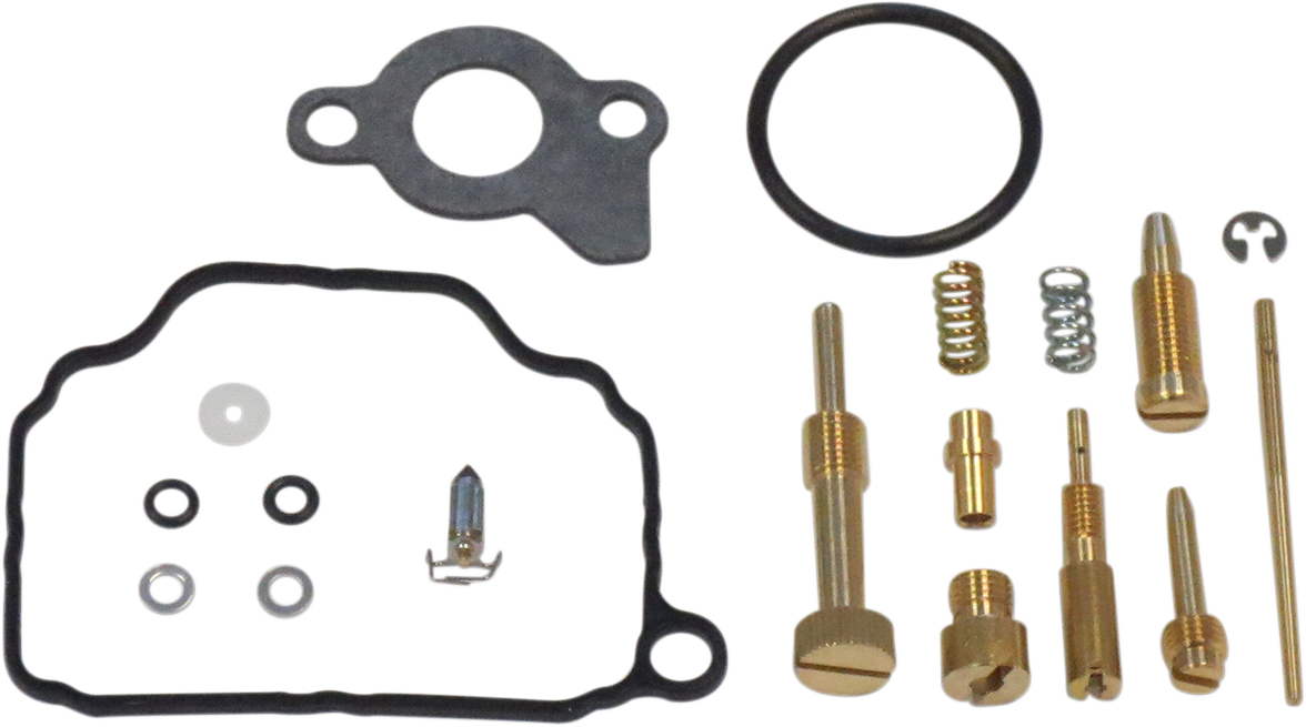 Carburetor Repair Kit