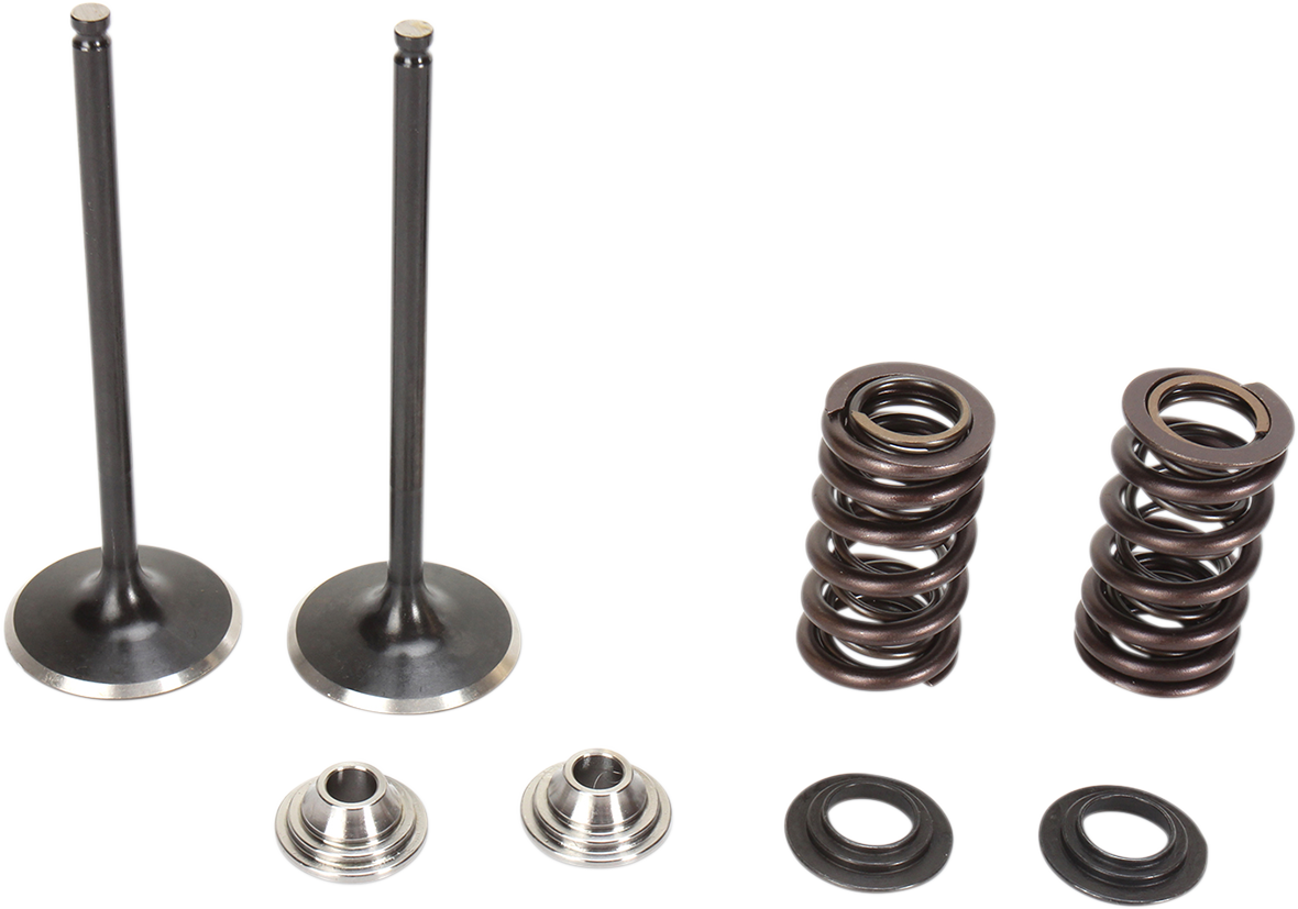 Stainless Steel Conversion Valve and Spring Kit