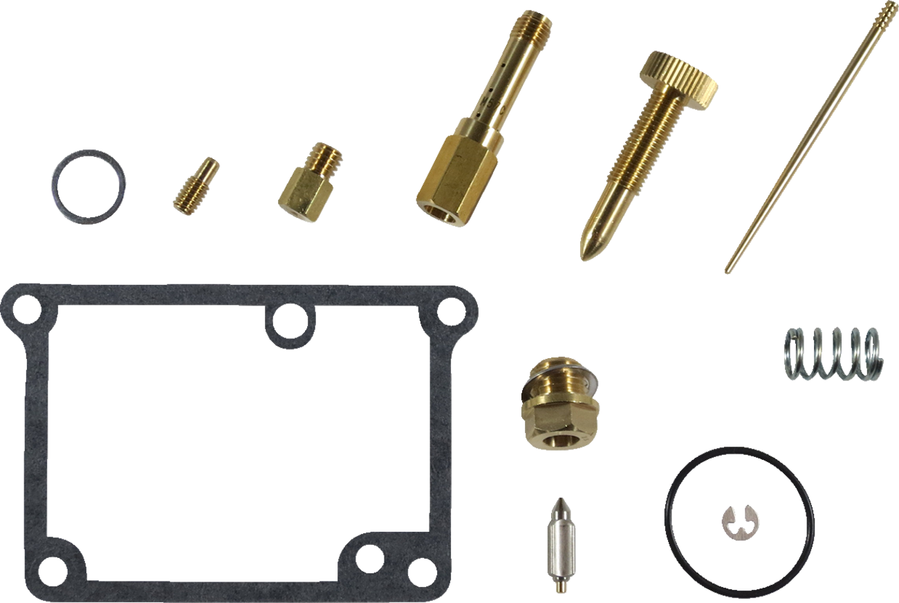 Carburetor Repair Kit
