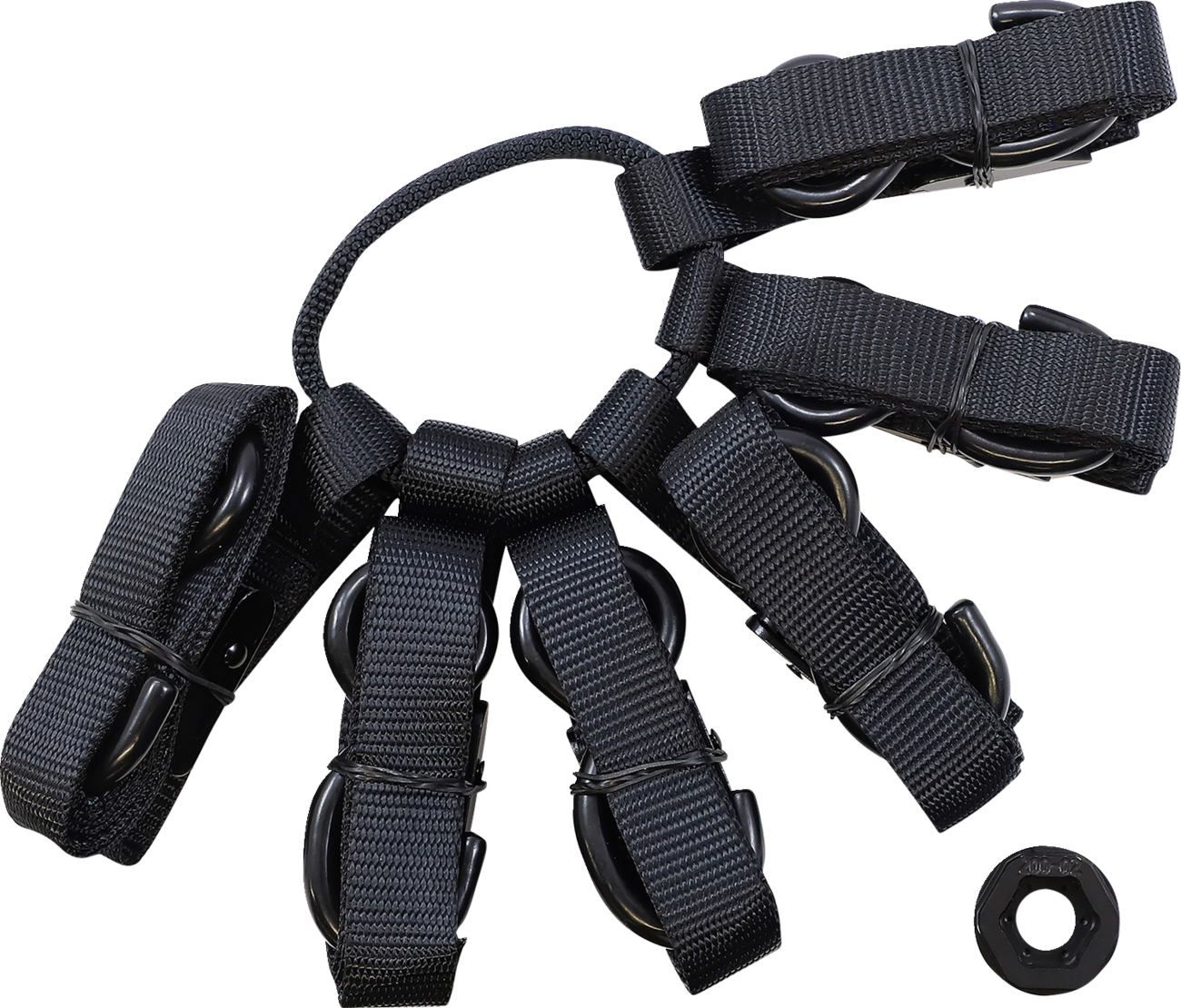 Cargo Straps