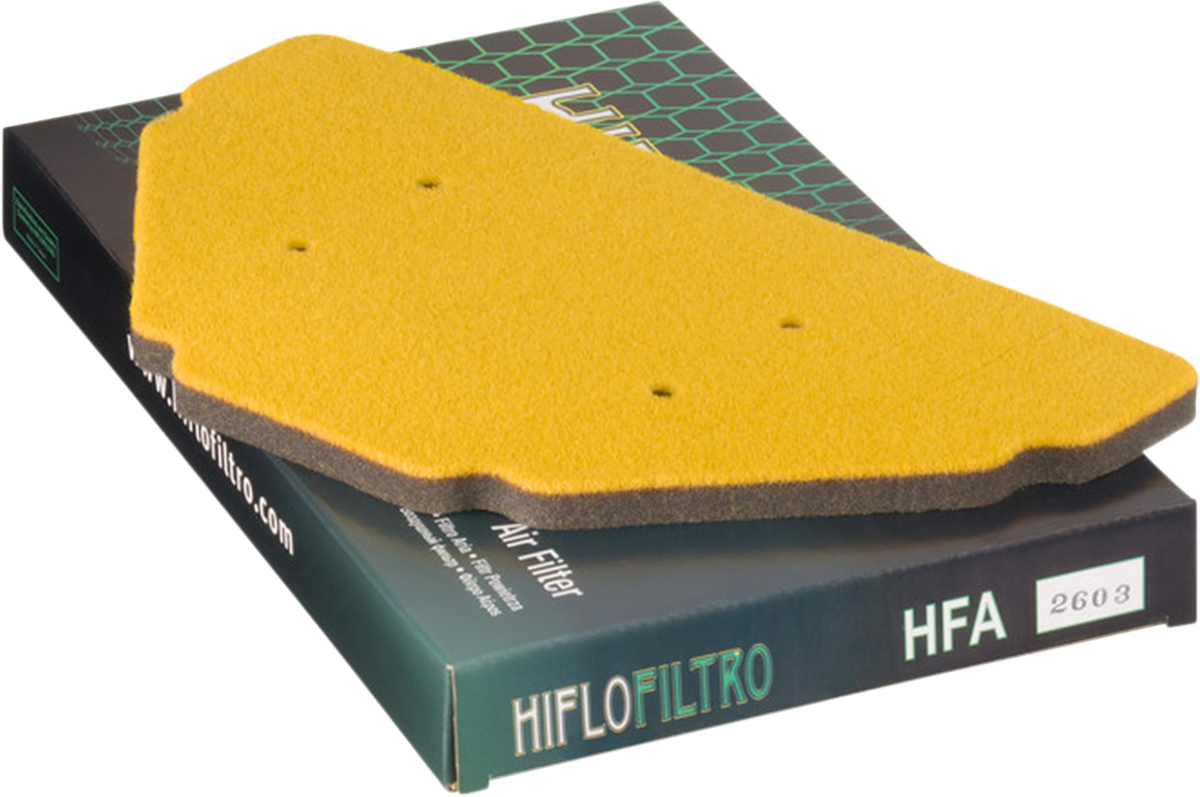 HiFloFiltro Air Filter HFA2603