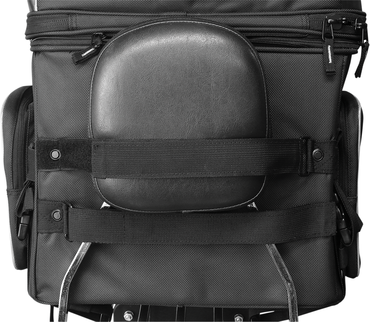 Nelson Rigg Route 1 Rover Pet Carrier