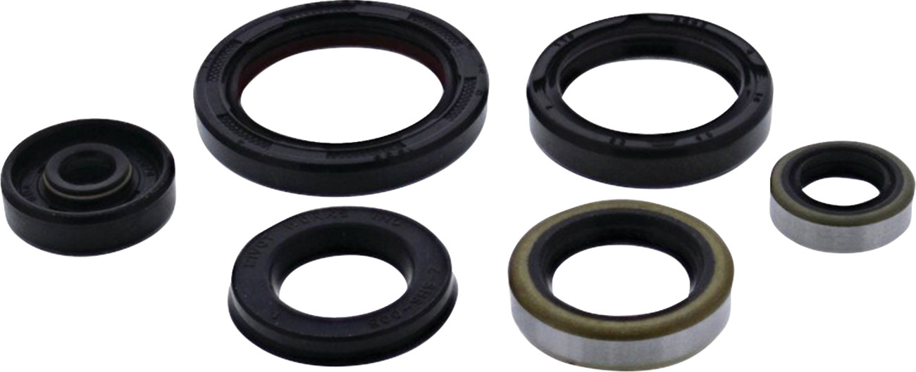 VERTEX Oil Seal Set