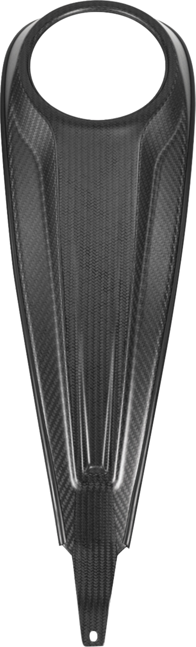 SADDLEMEN Carbon Fiber Dash Panel For Touring Models