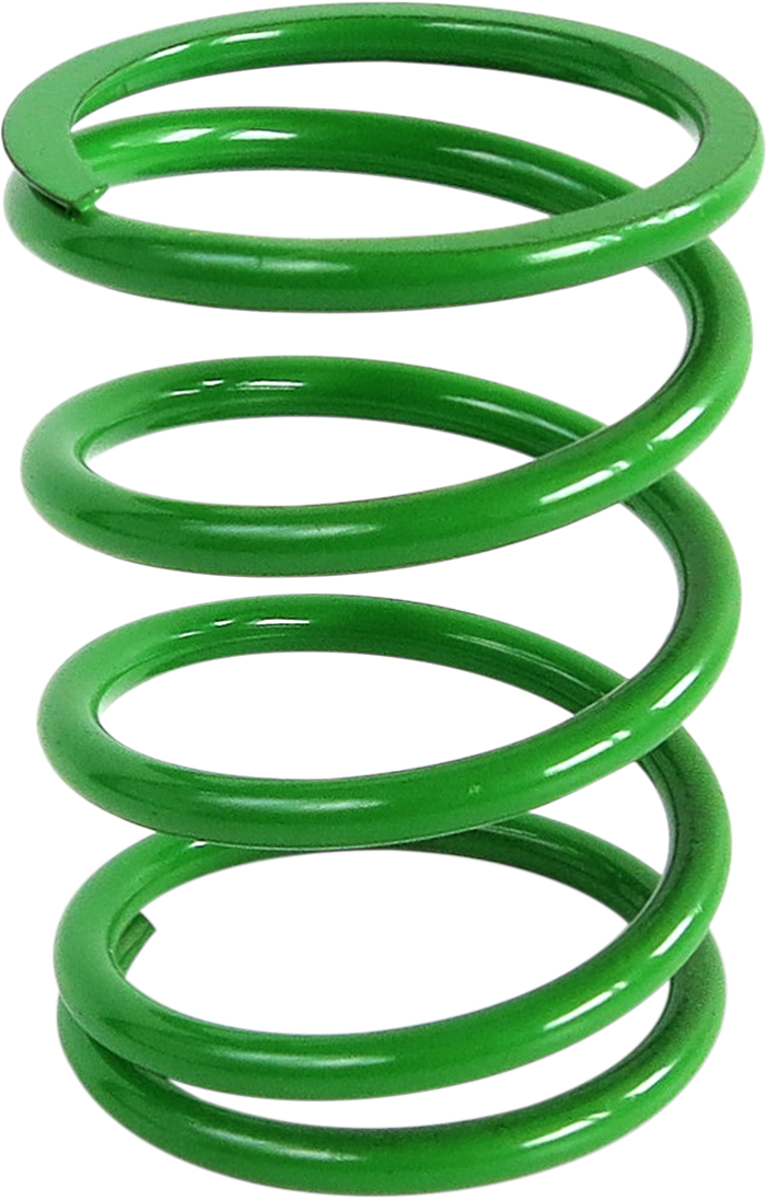 Primary Clutch Spring Polaris