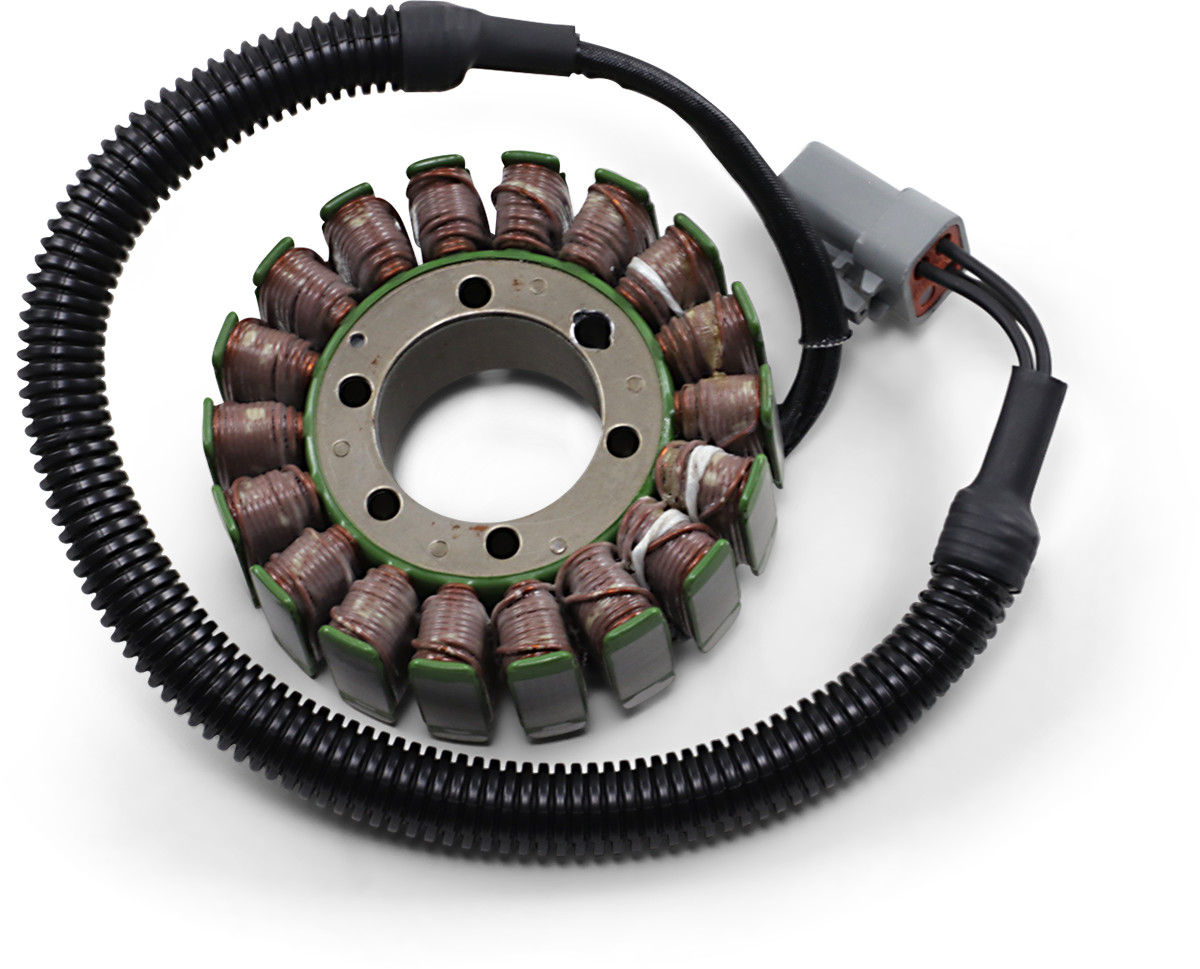 RICK'S MOTORSPORT ELECTRIC OEM Style Stator