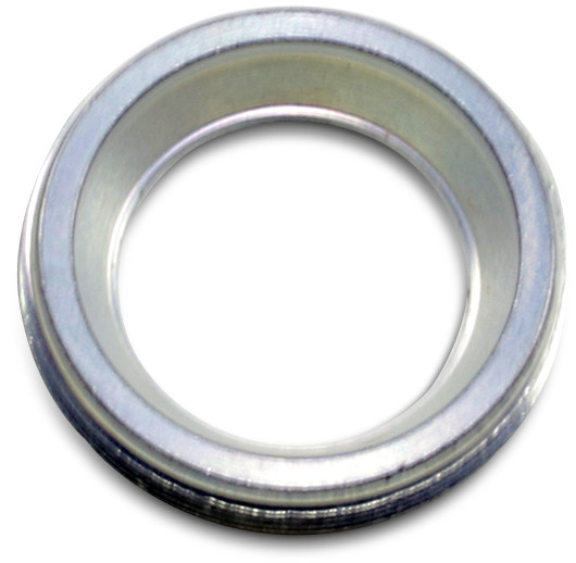 EASTERN MOTORCYCLE PARTS Swingarm Bearing Nuts