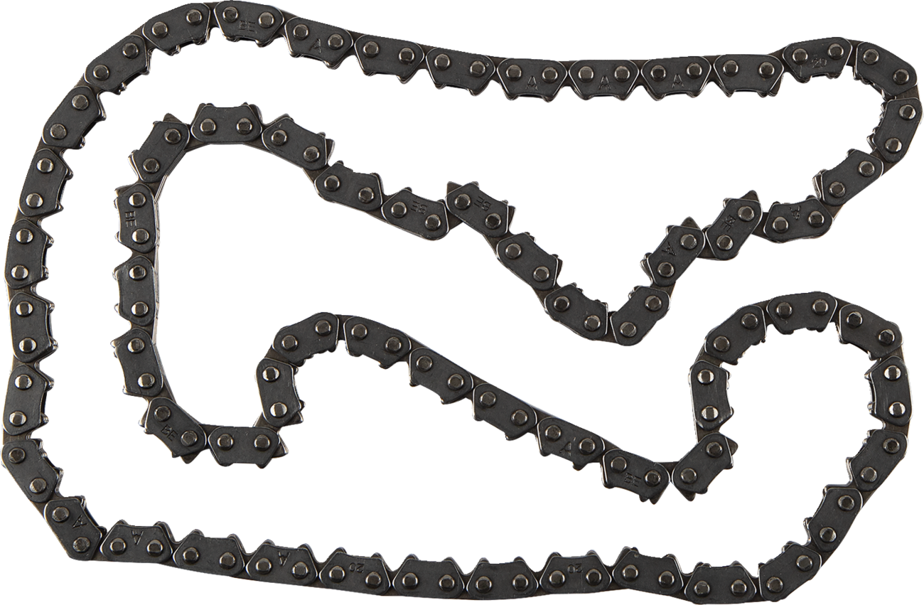 Cam Chain