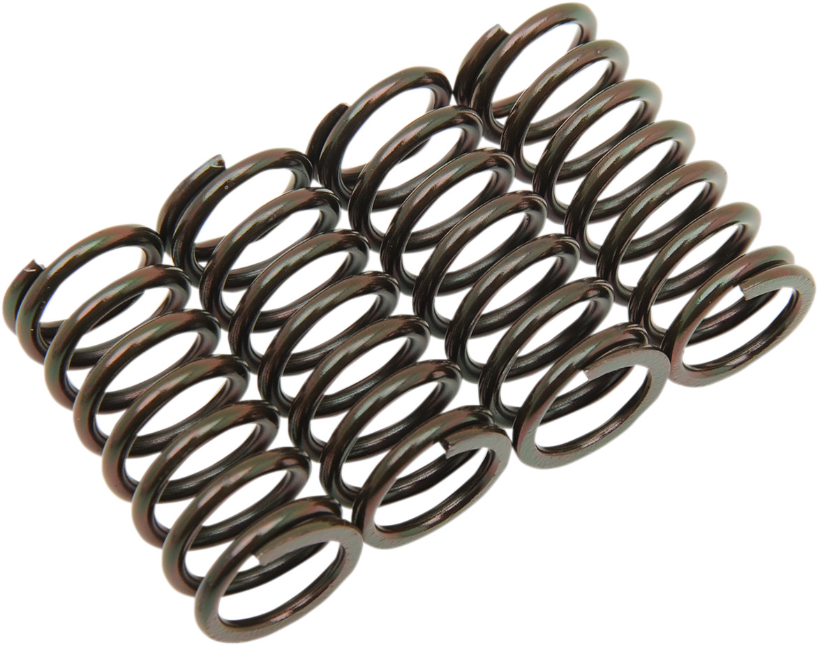 BARNETT Clutch Spring Kit