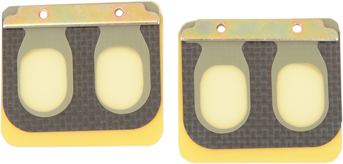 Replacement Pro Series Reed Set for RAD Valve