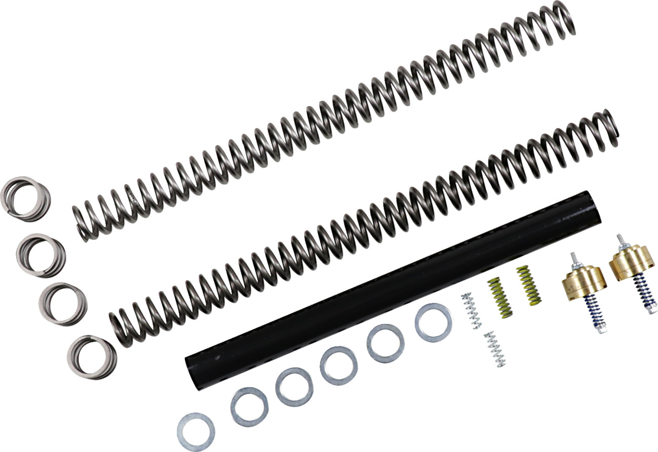 RACE TECH Fork Spring Kit