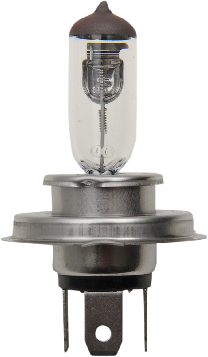 Halogen Bulb