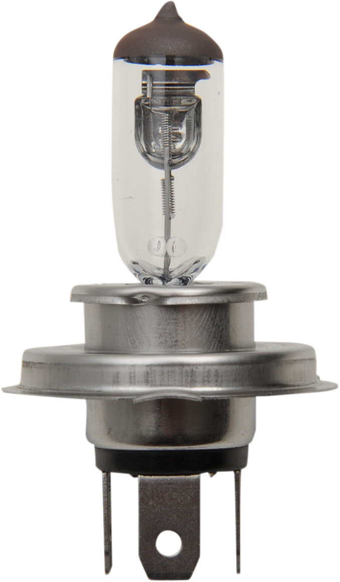 Halogen Bulb