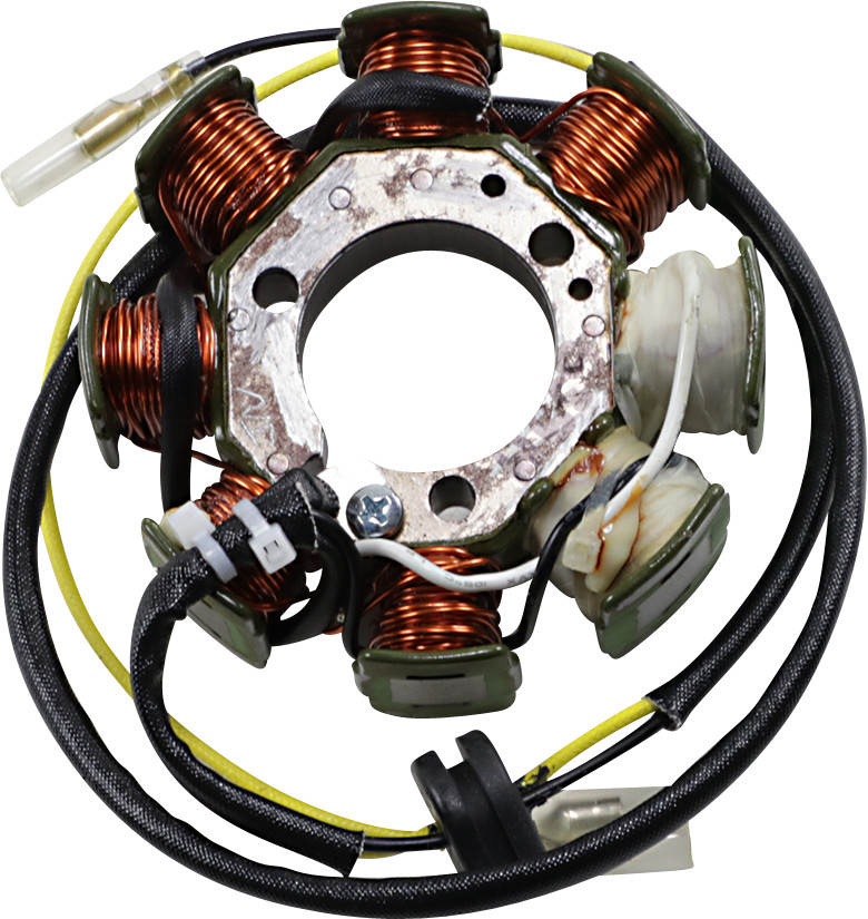 RICK'S MOTORSPORT ELECTRIC OEM Style Stator