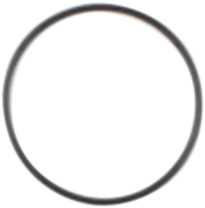 Starter O-Ring