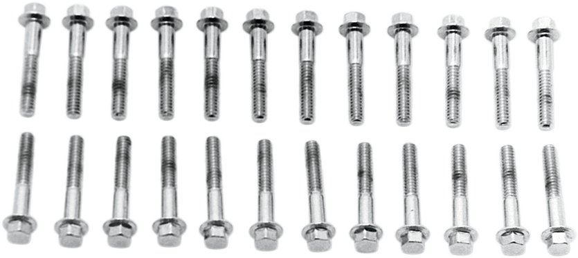 COLONY Valve Cover Screw Kit
