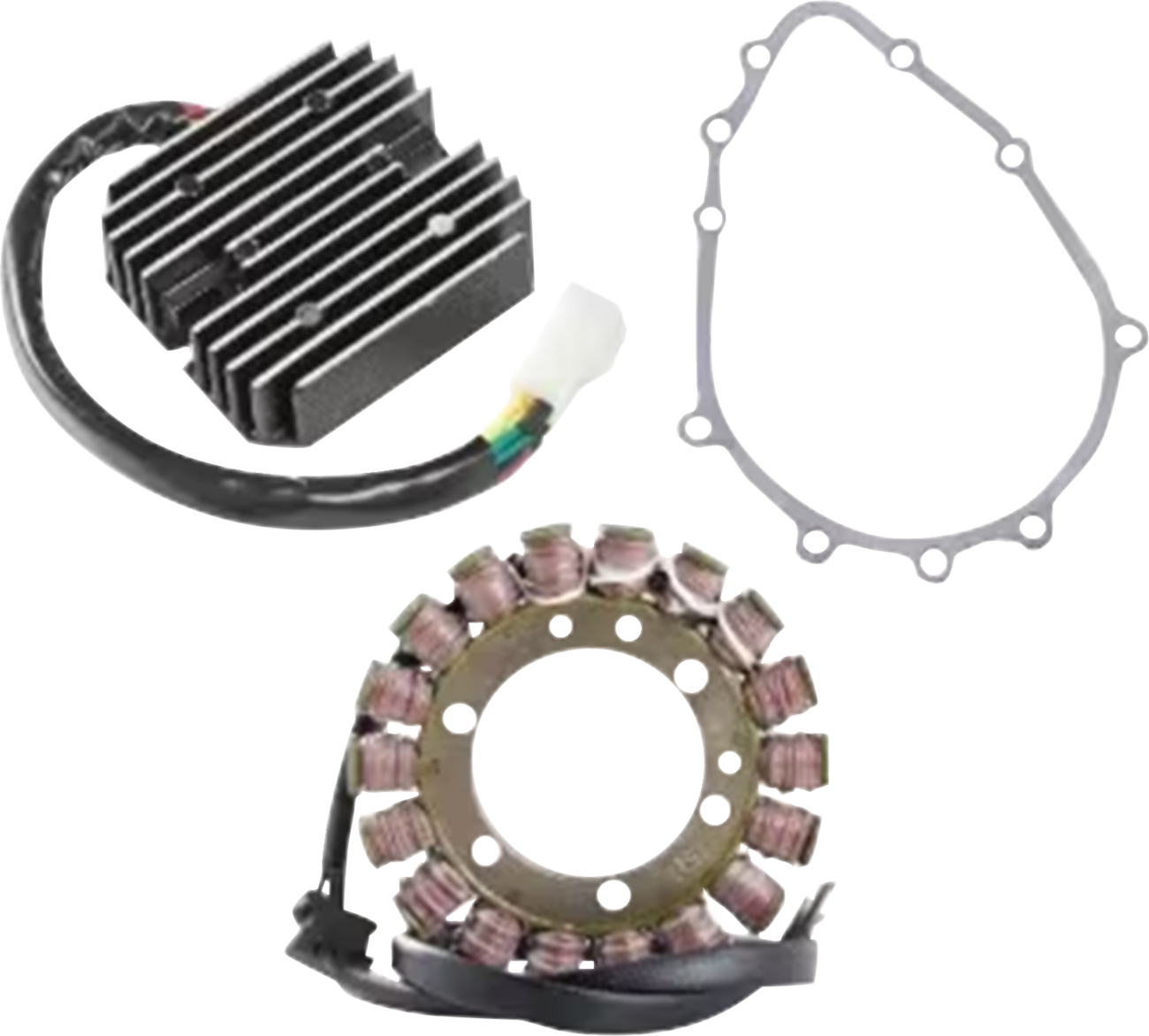 RICK'S MOTORSPORT ELECTRIC Charging Kit