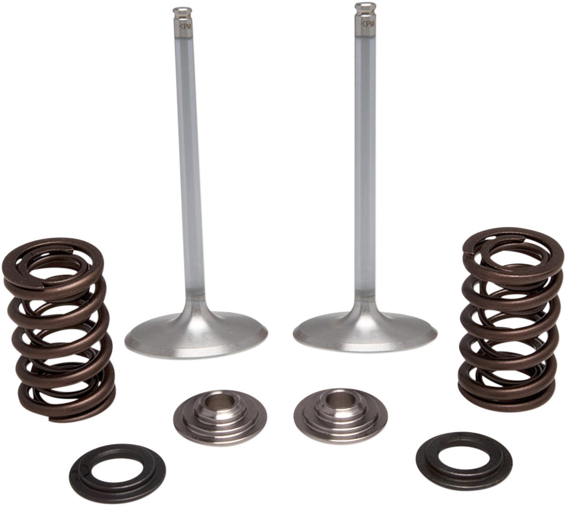 KIBBLEWHITE Intake Stainless Conversion Valve and Spring Kit