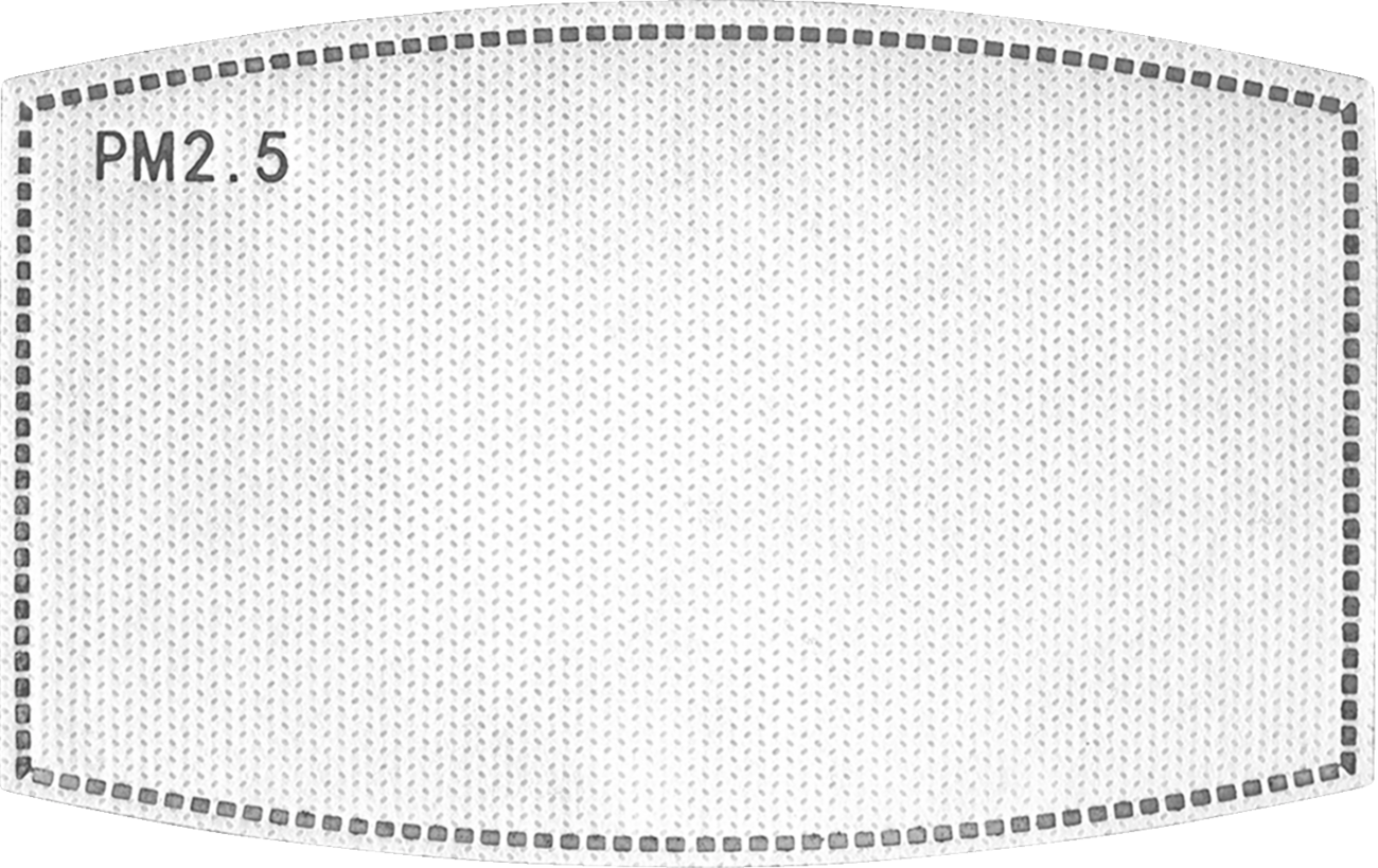 ZANheadgear Replacement PM 2.5 Filter 5/Pk