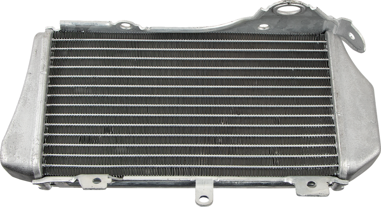 Replacement OEM Radiator