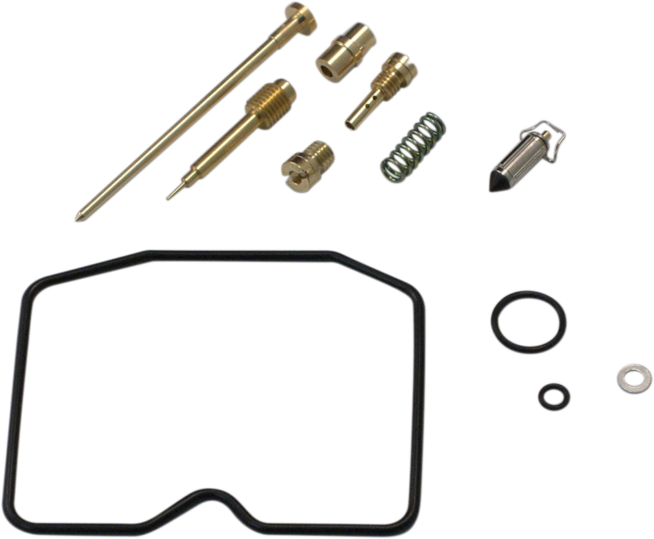Carburetor Repair Kit