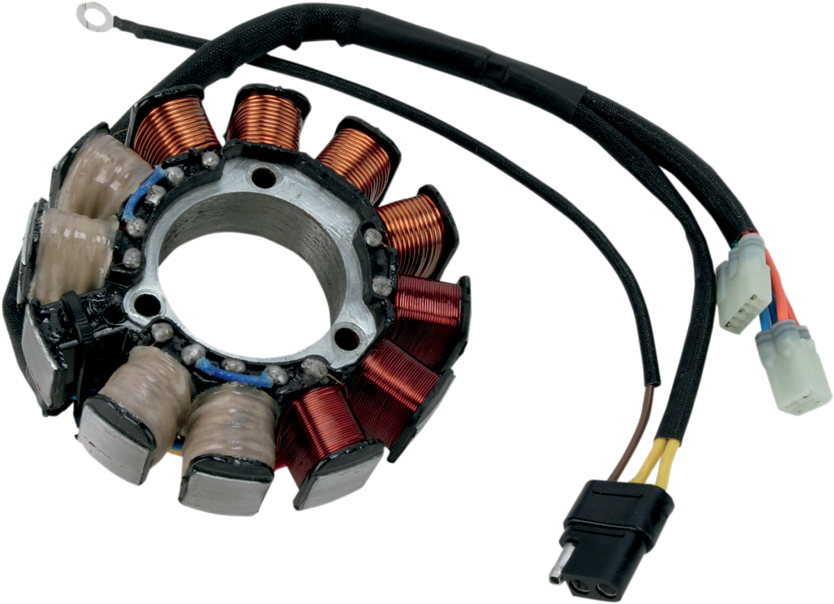 Rick's motorsport electric Stator - Arctic Cat