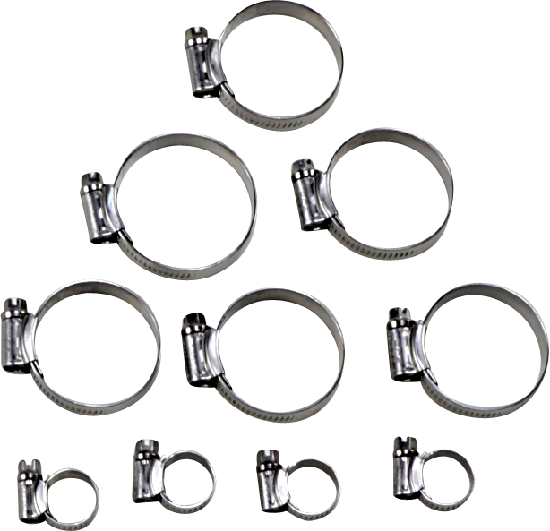 Samco Radiator Hose Clamp Kit