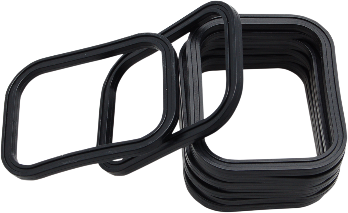 Rocker Gasket