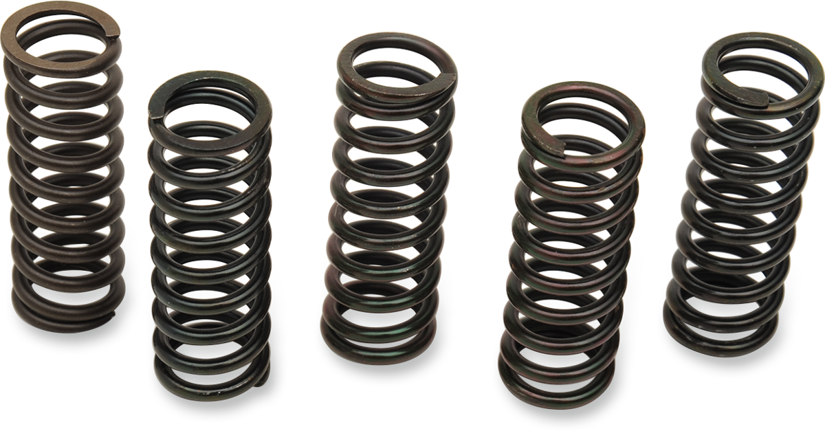 BARNETT Clutch Spring Kit