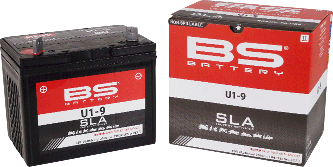 BS BATTERY SLA Factory- Activated AGM Maintenance-Free Battery