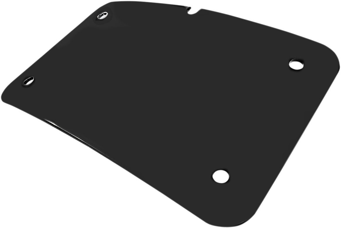 CYCLE VISIONS 3-Hole License Plate Mount