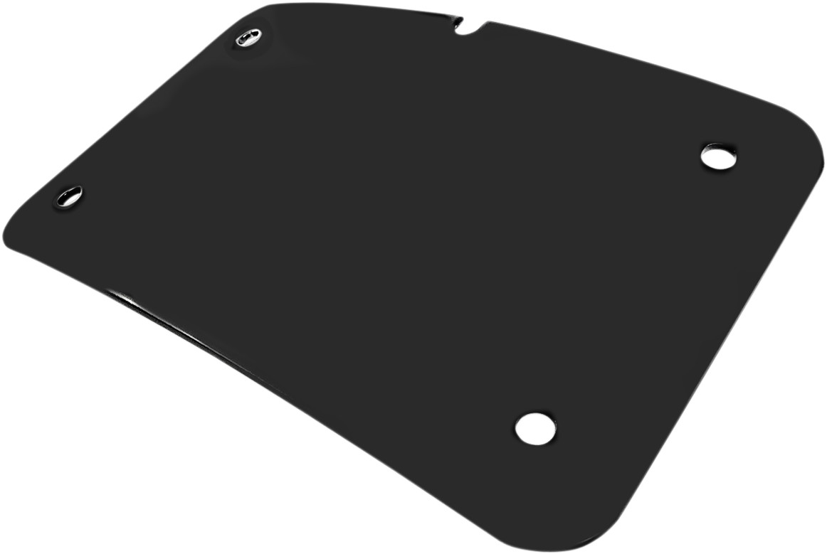 CYCLE VISIONS 3-Hole License Plate Mount