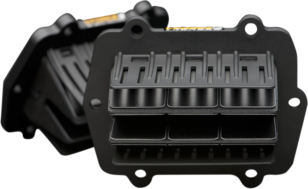 VFORCE/MOTO TASSINARI V-Force 3 Reed Valve Set