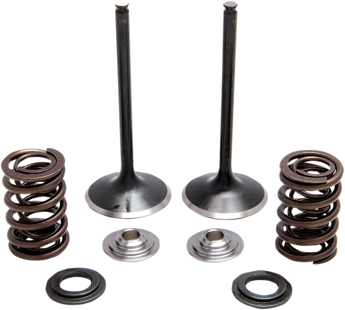 KIBBLEWHITE Intake Stainless Conversion Valve and Spring Kit