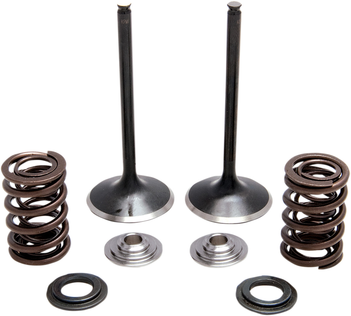 KIBBLEWHITE Intake Stainless Conversion Valve and Spring Kit
