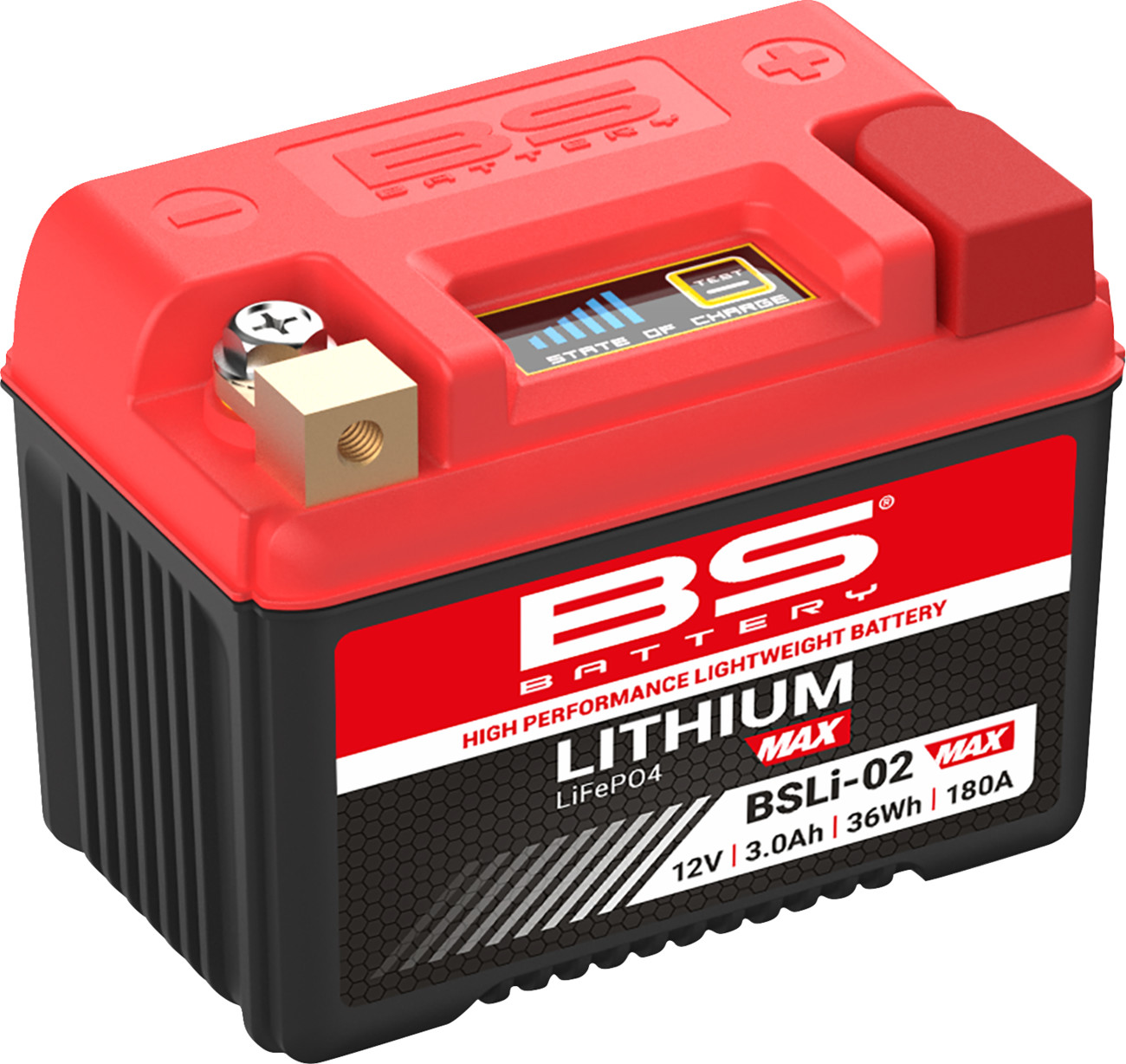 BS BATTERY Lithium Max LiFePO4 Battery