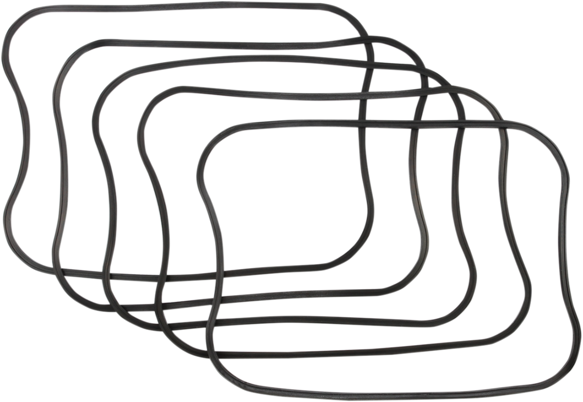 Rocker Gasket