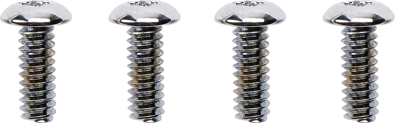 Drag Specialties Switch Housing Screw Kit