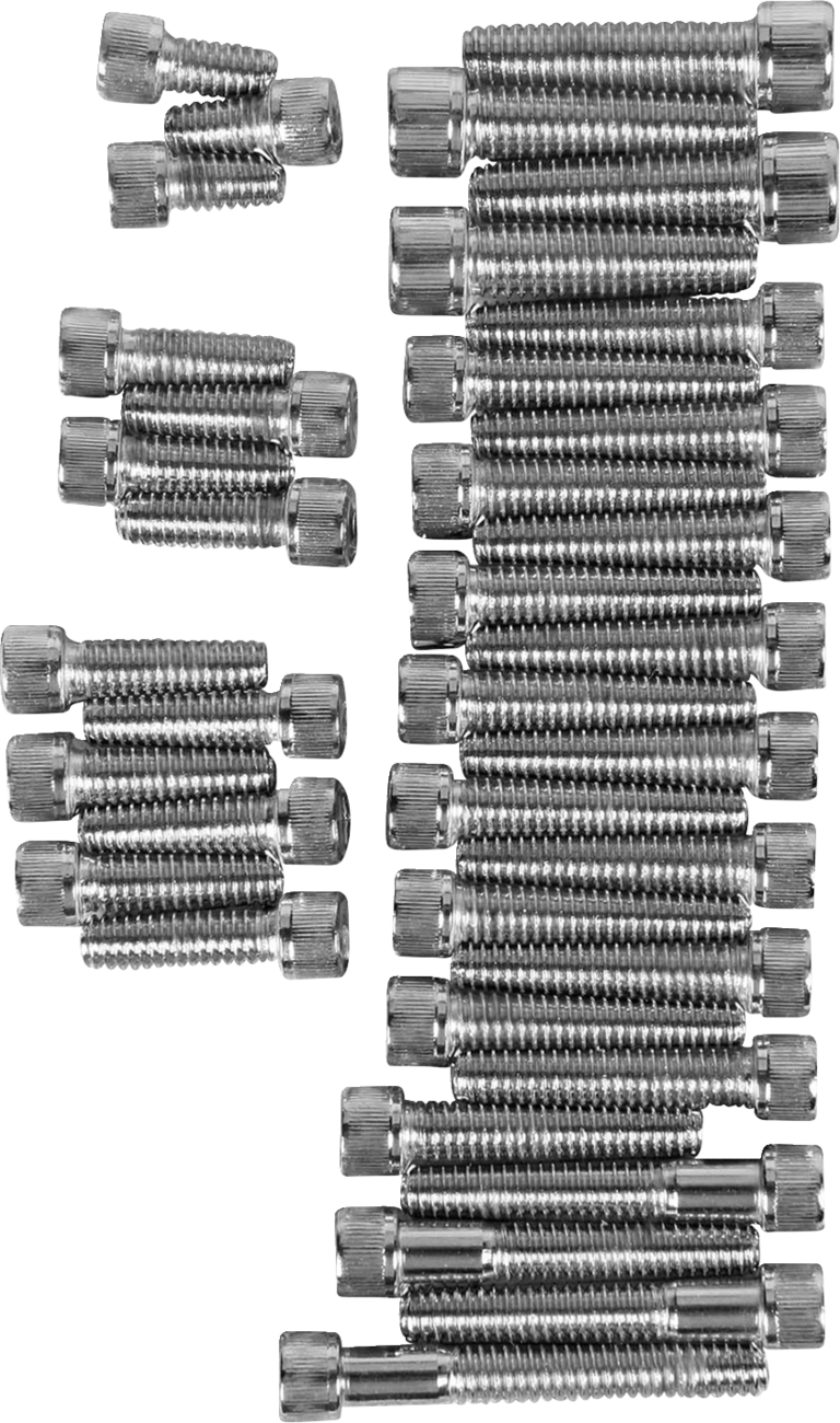 Drag Specialties Cam/Primary/Transmission Cover Bolt Set