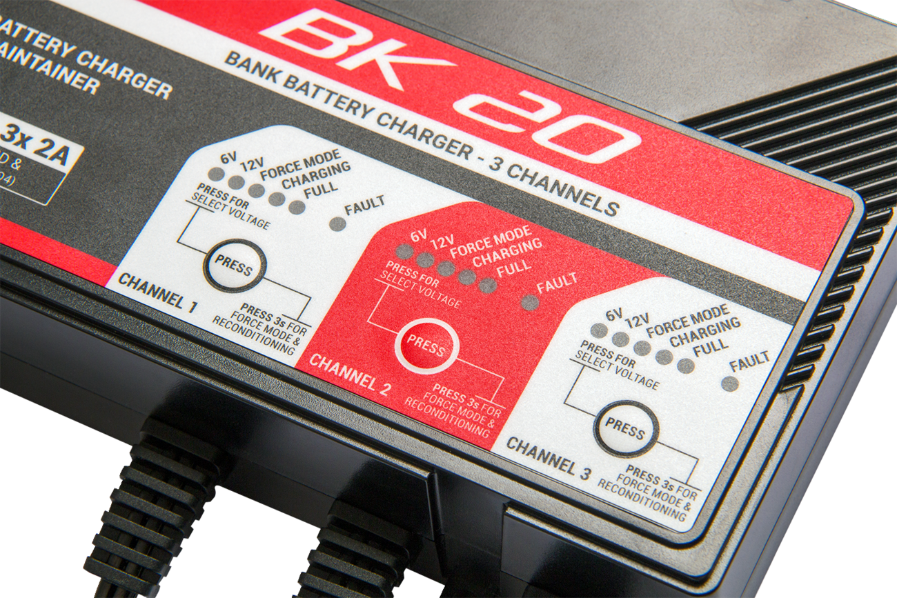 BS BATTERY BK 20 Smart Bank Battery Charger and Maintainer with Reconditioning Function