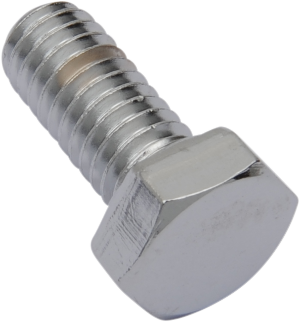 Drag Specialties Replacement Hex-Head Bolts