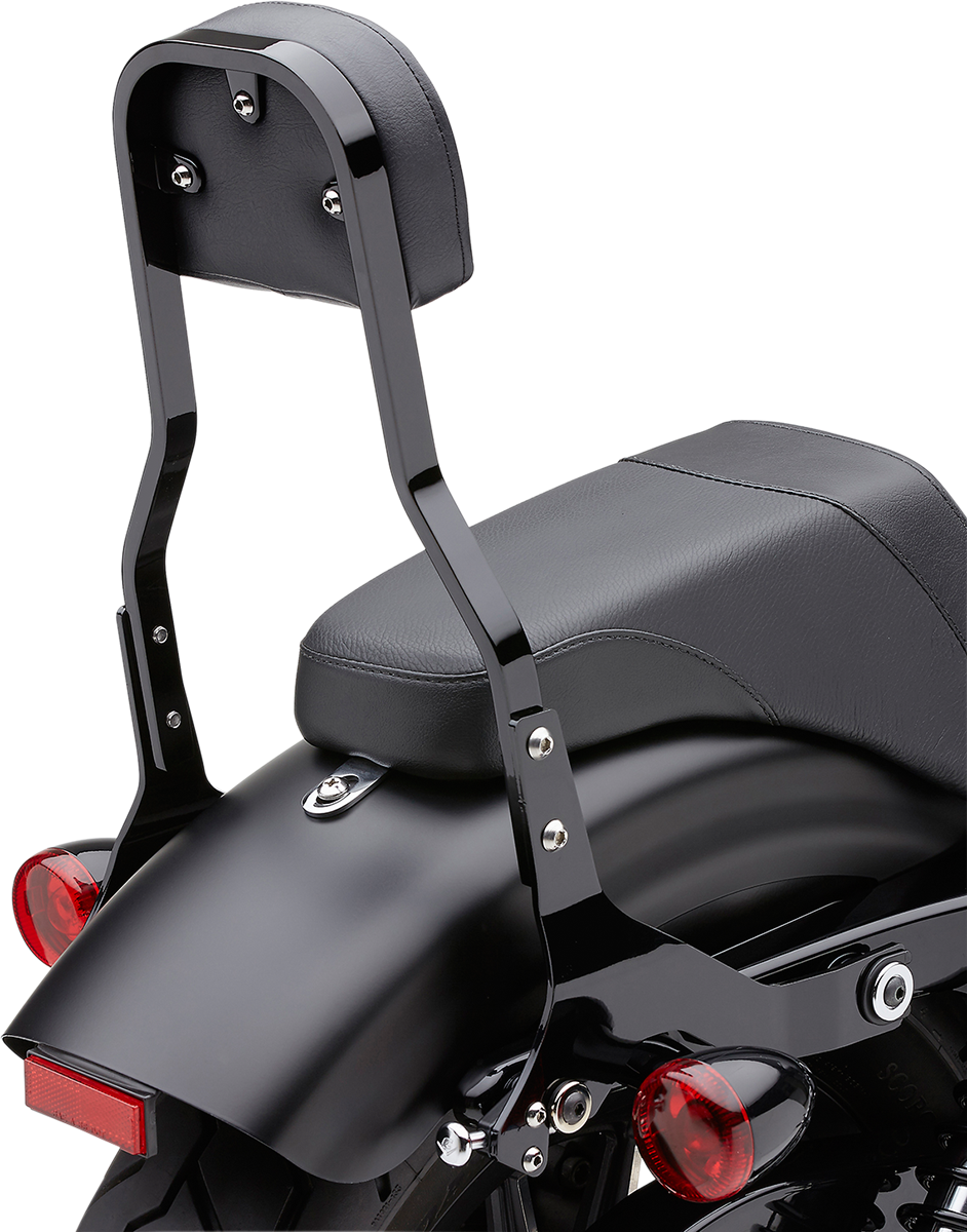 COBRA Detachable Backrest Kit
