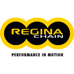 CHAIN AND SPROCKET KITS CHAIN AND SPROCKET KITS