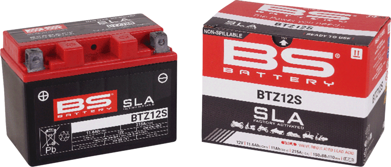 BS BATTERY SLA Factory- Activated AGM Maintenance-Free Battery
