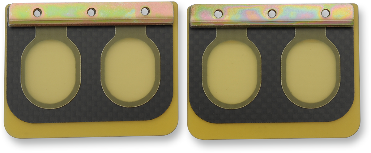 BOYESEN Replacement Pro Series Reed Set for RAD Valve